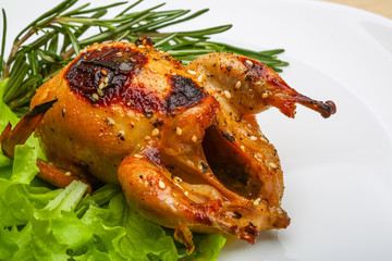 Roasted Quail