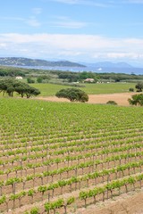 panorama du var 