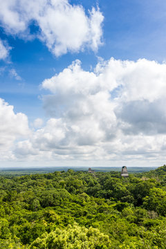 Panoramic View of rainforest and Mayan Ruins . Tikal National Pa