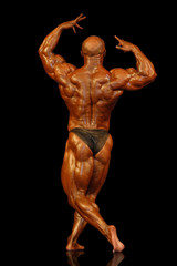 The muscular male back