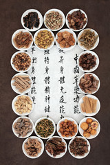 Chinese Herbal Medicine