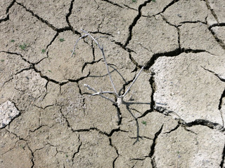 Dry land
