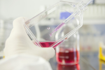 Germany, Bavaria, Munich, Scientist working with cell culture in laboratory