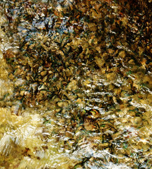 포토시리즈(해외여행)