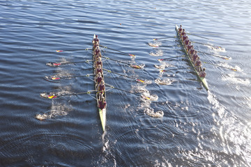Elevated view of two rowing eights in water