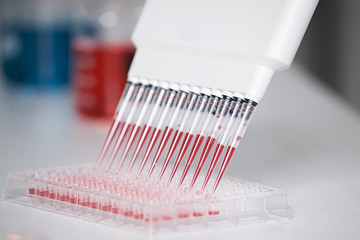 Germany, Bavaria, Munich, Multichannel pipette dispensing red reagent into test tray for medical research