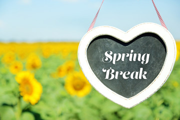 Obraz premium Spring break concept. Blackboard in shape of heart