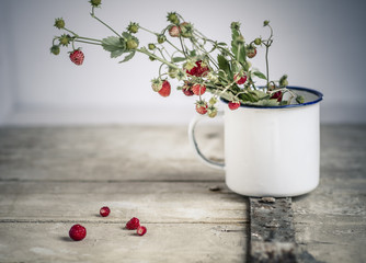 Germany, Baden Wuerttemberg, Bouquet of wild strawberries in enamel cup on old wooden door