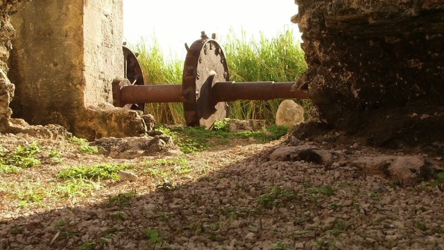 Ancient gear wheel sitting next to 18th century aqueduct Jamaica