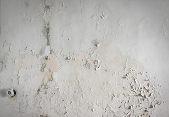 Peeling wall