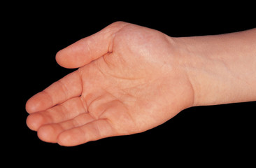 다양한 핸드모션