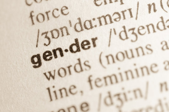 Dictionary definition of word gender