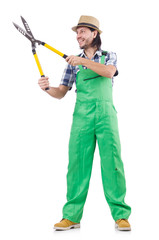 Male gardener isolated on white