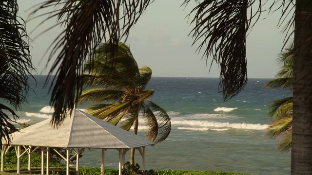 Tropical Caribbean beachfront hotel in Montego Bay, Jamaica