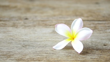 Obraz na płótnie Canvas Frangipani flower on wooden table