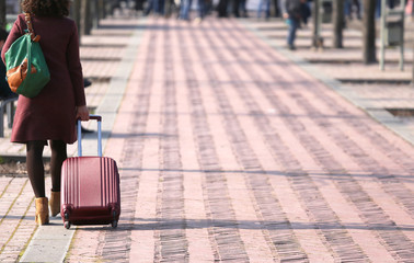 elegant business woman travelling with the trolley in public par