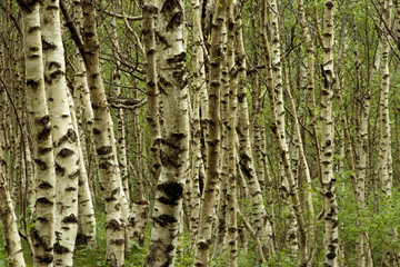 포토시리즈(아시아여행)