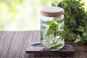 Mint Infuse Water