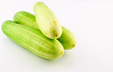 Cucumber isolated