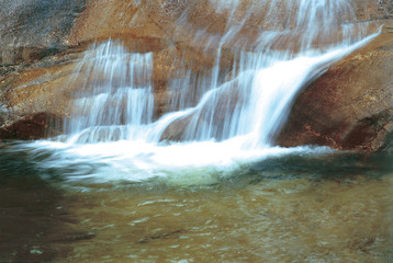 Fototapeta premium 자연이미지