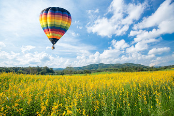 Heteluchtballon over gele bloemenvelden tegen blauwe lucht