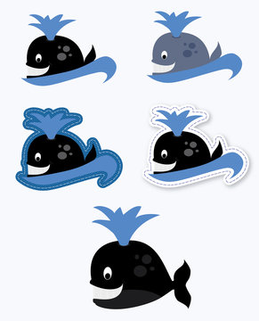 whale / vectors