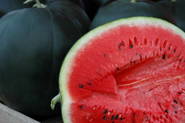 Watermelon-Sugar Baby