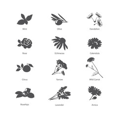 Herb symbols set