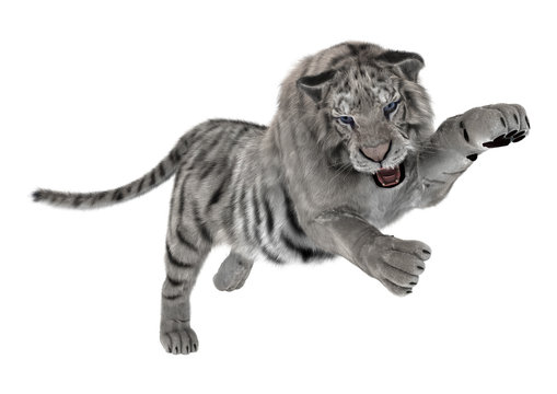 White Tiger
