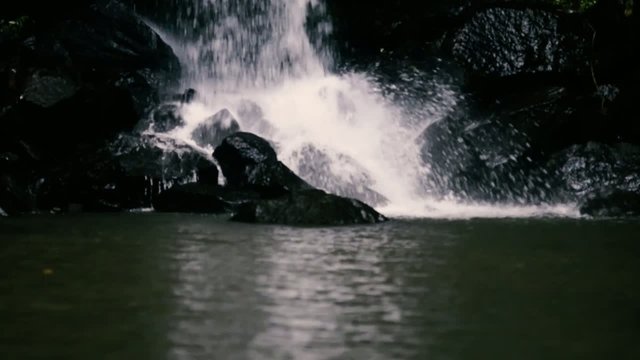 Curtis Falls waterfall in Mount Tambourine. Waterfall in the gol