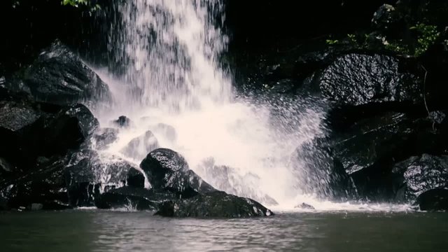 Curtis Falls waterfall in Mount Tambourine. Waterfall in the gol