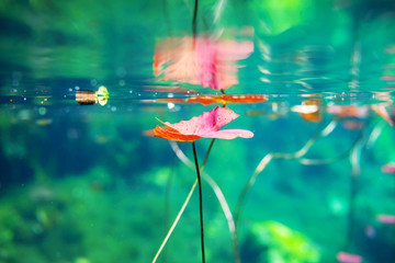 Underwater