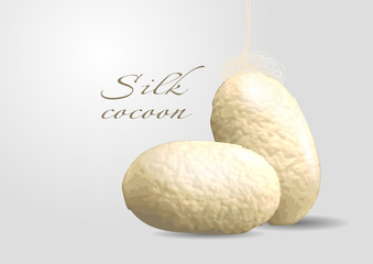 silk cocoon