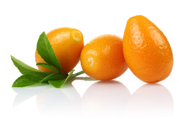 Three Kumquat
