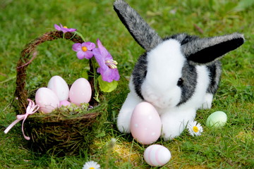 Rabbit and Easter eggs on the meadow