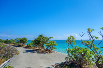 沖縄県　鳩間島の道