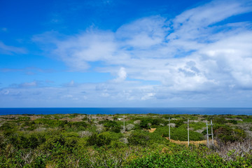沖縄県　鳩間島　物見台からの景色