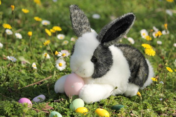 Easter rabbit