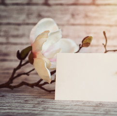 Blank Card with White Blossoms in Warm Lighting