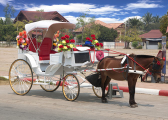 Traditional horse and carriage