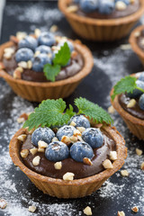 chocolate mousse with fresh blueberries and mint in tartlets