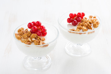 creamy panna cotta with granola and berries