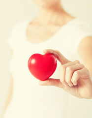 Obraz premium woman hands with heart