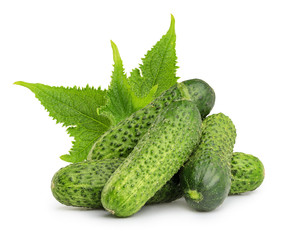 Cucumbers isolated on white