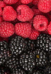 background of beautiful berries