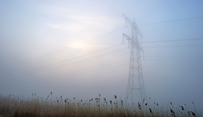 Power line in a foggy field at sunrise