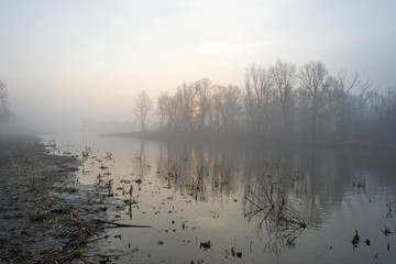The shore of a foggy lake in winter at dawn