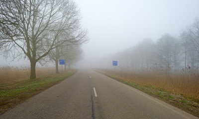 Fototapeta premium Road through a foggy landscape in winter