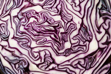 Obraz premium cabbage
