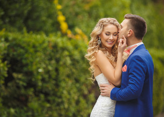 The groom kisses the bride in a green Park in the summer.